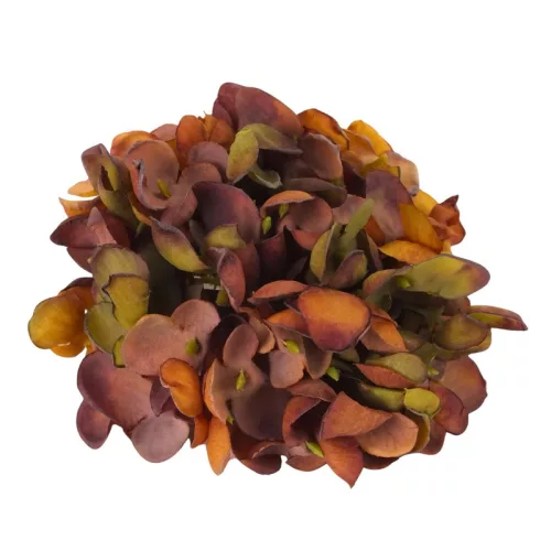 Hortenzia virágfej 10cm vintage barna