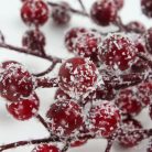  Havas piros bogyós ág 50db/csomag 72/#