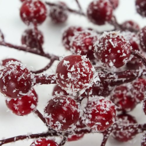  Havas piros bogyós ág 50db/csomag 72/#