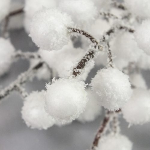  Havas fehér bogyós ág 50db/csomag 72/#