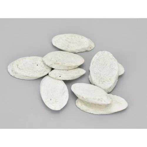 Fehér ovális faszeletek 5-6cm 0,5kg/csomag