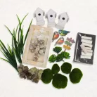 Csináld magad - Madárcsicsergő dísz