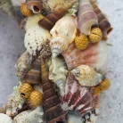 Csináld magad - Tengeri hangulatú kagylós kopogtató