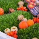 Csináld magad - Tökházas bedíszített tál