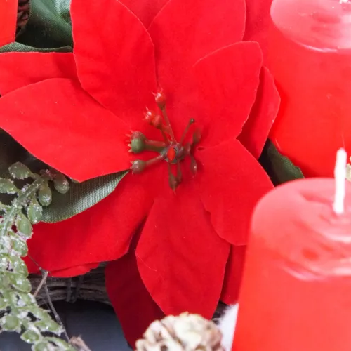 Csináld magad - Klasszikus karácsony - Adventi koszorú