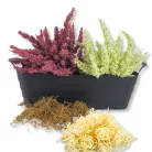 Balkonláda műanyag - antracit