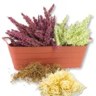 Balkonláda műanyag - terracotta