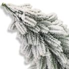 Havas fenyő zsákos talppal