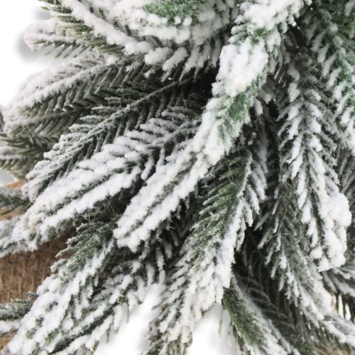 Havas fenyő zsákos talppal