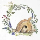 Rizspapír 14,8x14,8cm 6db/cs