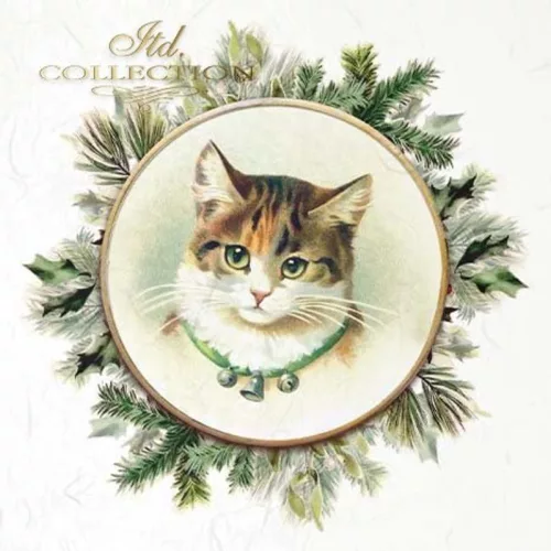 Rizspapír 14,8x14,8cm 6db/cs