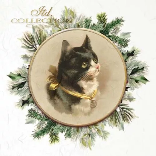 Rizspapír 14,8x14,8cm 6db/cs