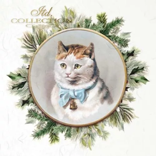 Rizspapír 14,8x14,8cm 6db/cs