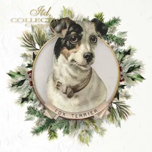 Rizspapír 14,8x14,8cm 6db/cs