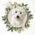 Rizspapír 14,8x14,8cm 6db/cs