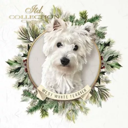 Rizspapír 14,8x14,8cm 6db/cs