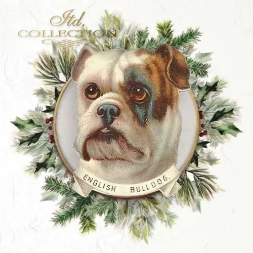 Rizspapír 14,8x14,8cm 6db/cs