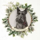 Rizspapír 14,8x14,8cm 6db/cs