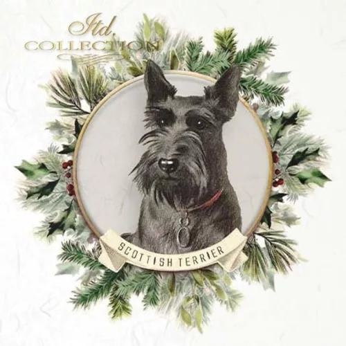 Rizspapír 14,8x14,8cm 6db/cs