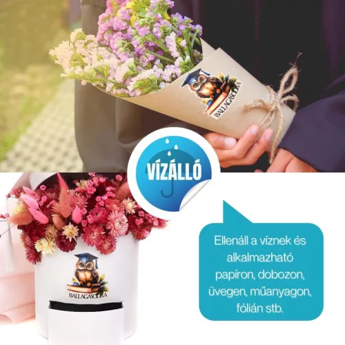 Matrica - ballagásodra bagoly 6db/lap