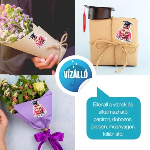 Matrica - ballagásodra lány 6db/lap