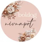 Matrica - Boldog névnapot 3 forma 15db/lap