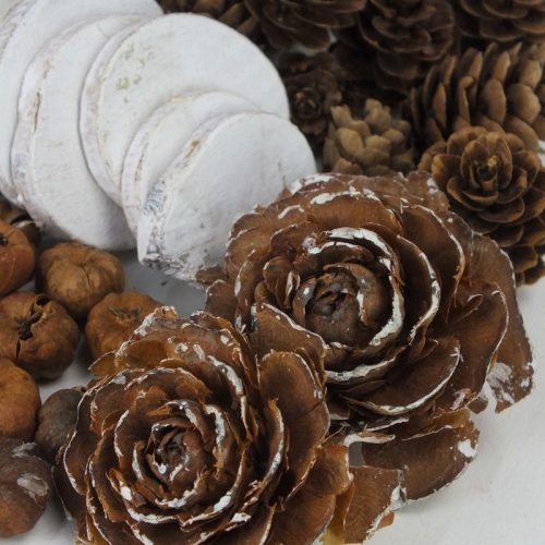 Erdei mesék terméscsomag