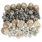 Havas harmónia terméscsomag