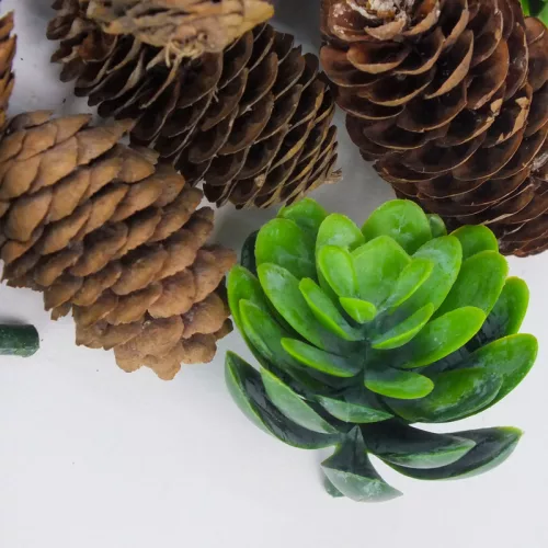 Erdei frisseség terméscsomag