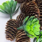 Erdei frisseség terméscsomag